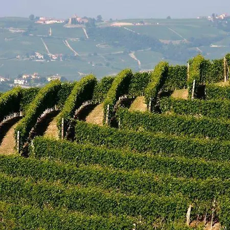 Cascina Rabalot 팜스테이 디아노 달바