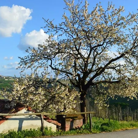 Cascina Rabalot Farm stay